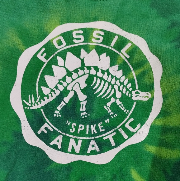 •BABY GAP BOYS GREEN DINOSAUR FOSSIL GRAPHIC HOODIE SWEATSHIRT Toddler 4 Year - Picture 6 of 9